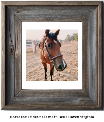 horse trail rides near me in Belle Haven, Virginia